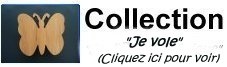 Pour enfant: Je vole!