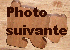 Cliquez pour voir la photo suivante